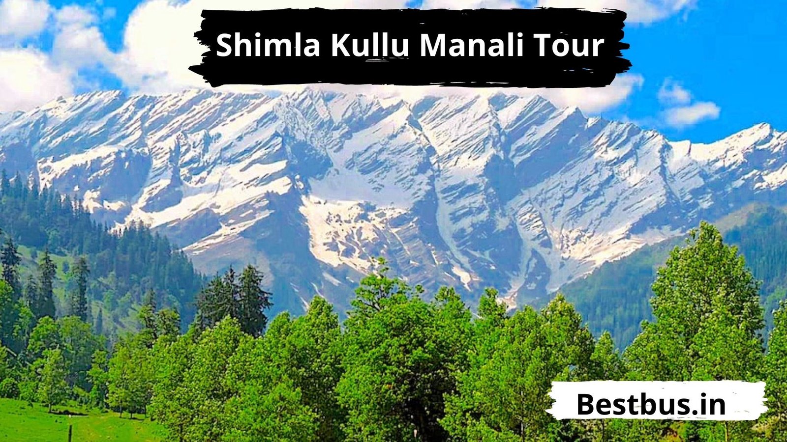 Shimla Kullu Manali Tour