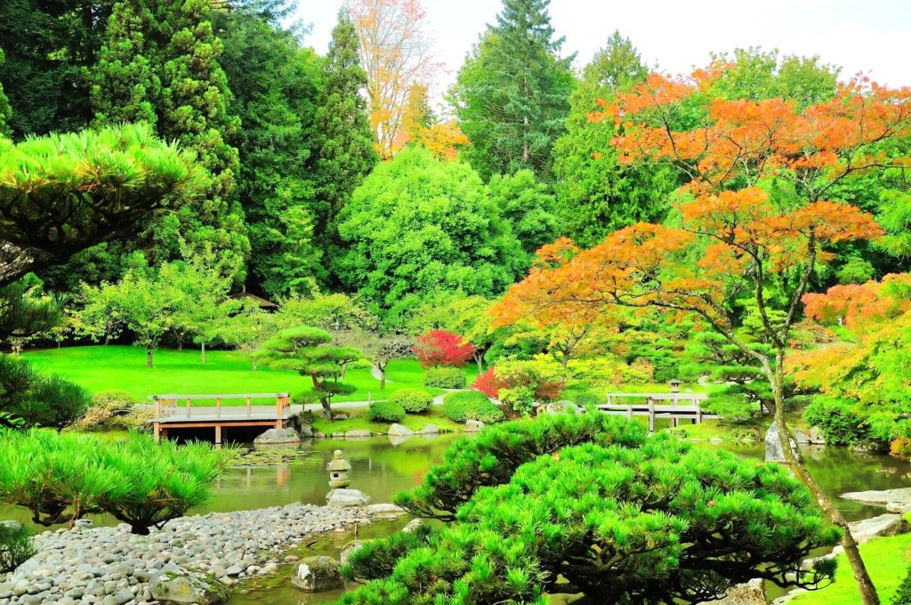 Get Lost at the Washington Park Arboretum