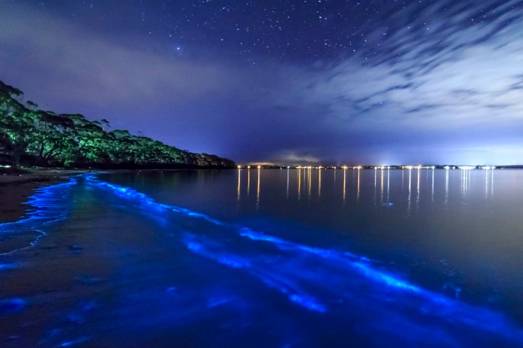 Vieques and Bioluminescent Bay